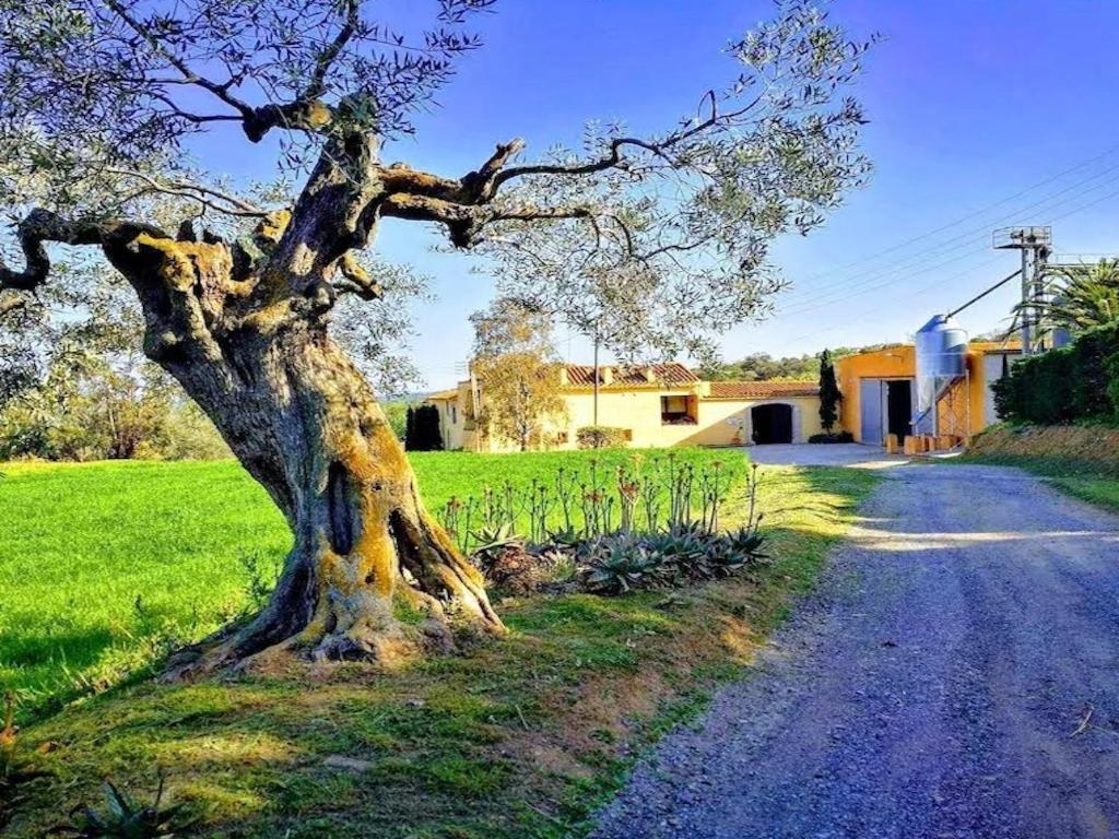 Rural Mas Hortus Villa Girona Exterior foto